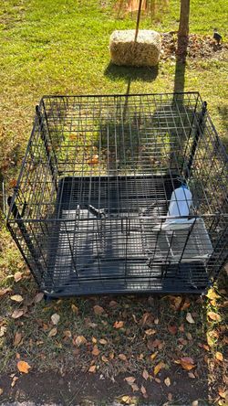 Small animal cage