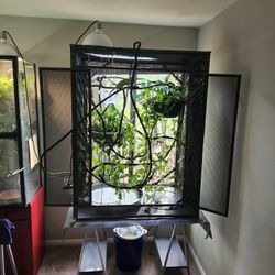 Chameleon Cage