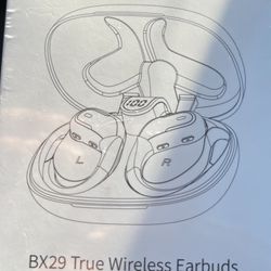 Bx29 True Wireless Earbuds 