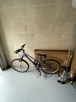Purple Mountain Bike with Kickstand