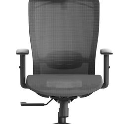 Ergonomic Office Chair