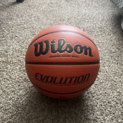 Wilson Evolution Ball (Brand New)