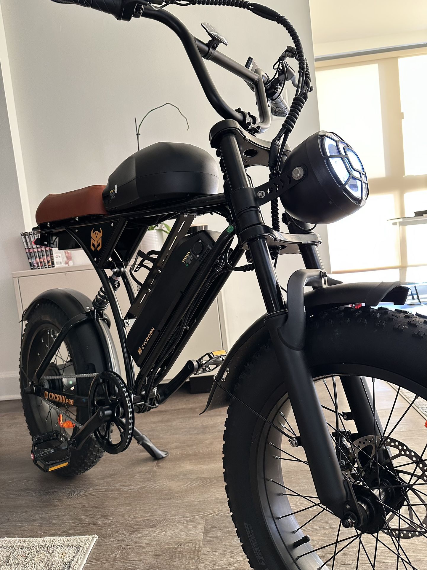 Electric Bike Dual Battery