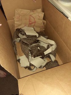 Free Carpet Scraps/ Strips For Cat Tree Etc