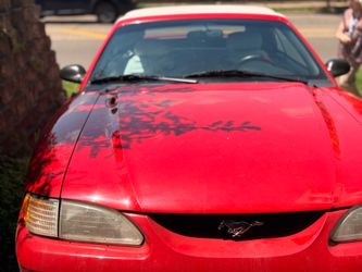 2006 Ford Mustang