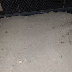 Tierra Limpia Para Pasto O Plantas , 2 Arbolitos Para Diseños De Jardín Ahorita Los 2 Hacen Un Rectángulo Pero Individalmentese Pueden Hacer Formas.