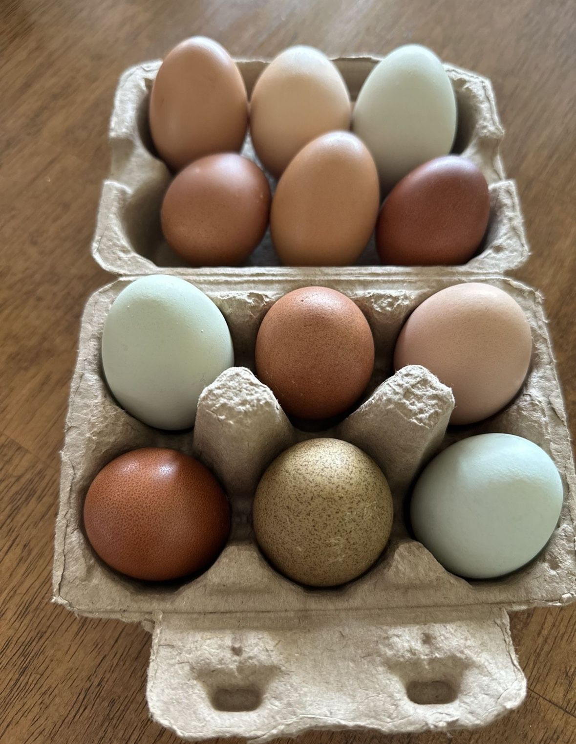 Fertile Chicken Eggs for Sale in El Cajon, CA OfferUp