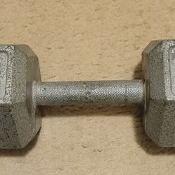 30 Lb Dumbbell- Hex Cast Iron