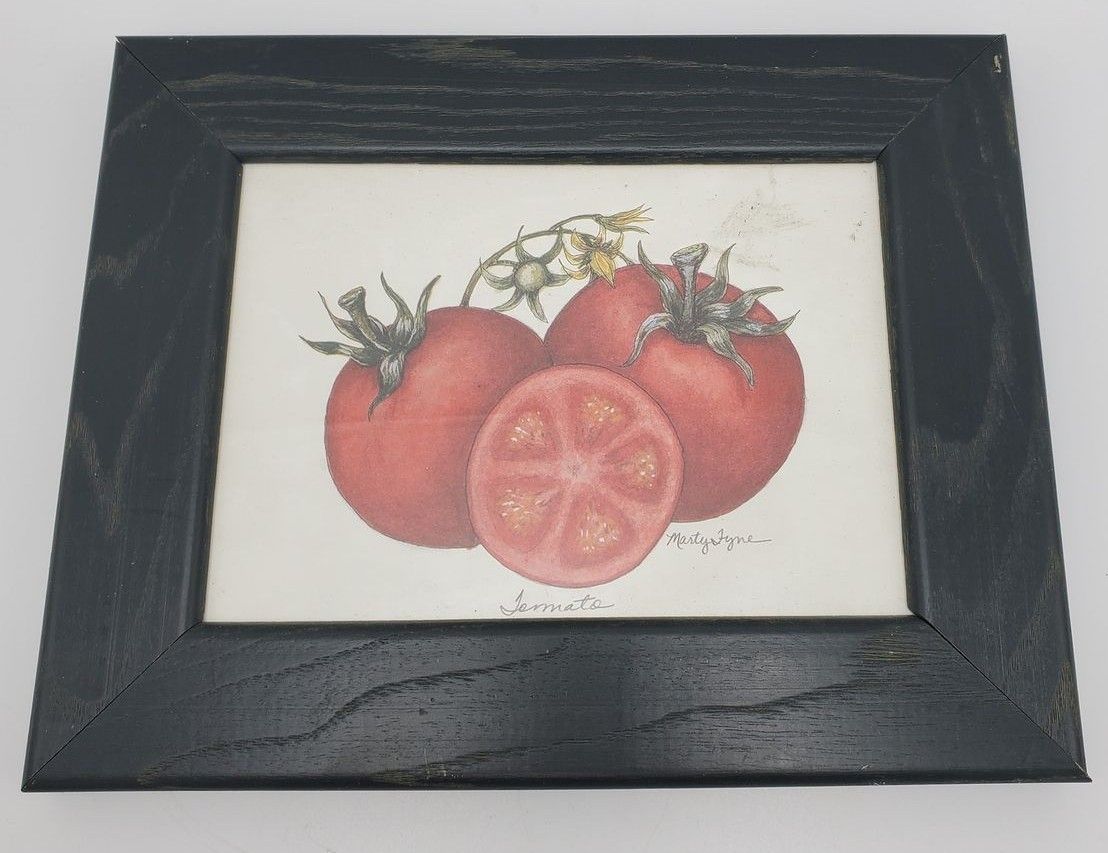 Marty Fyne Tomato Framed Art