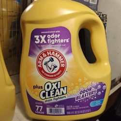Oxi Clean 100.5 Oz