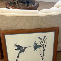 Hummingbird Picture