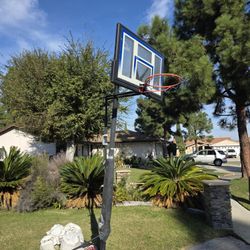 Basketball Hoop