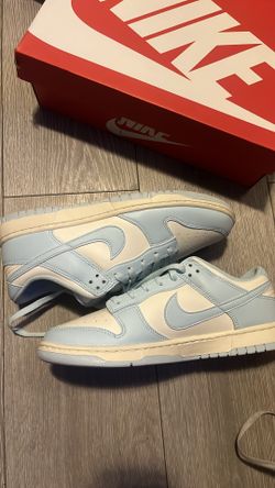 Nike dunk low retro