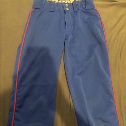 Blue Demarini Softball Pants