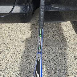 Easton S250 drop 10 2.25” diameter USA Baseball certified baseball bat 29-inch