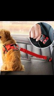 Cinturón de seguridad para perros o gatos. Nuevos.