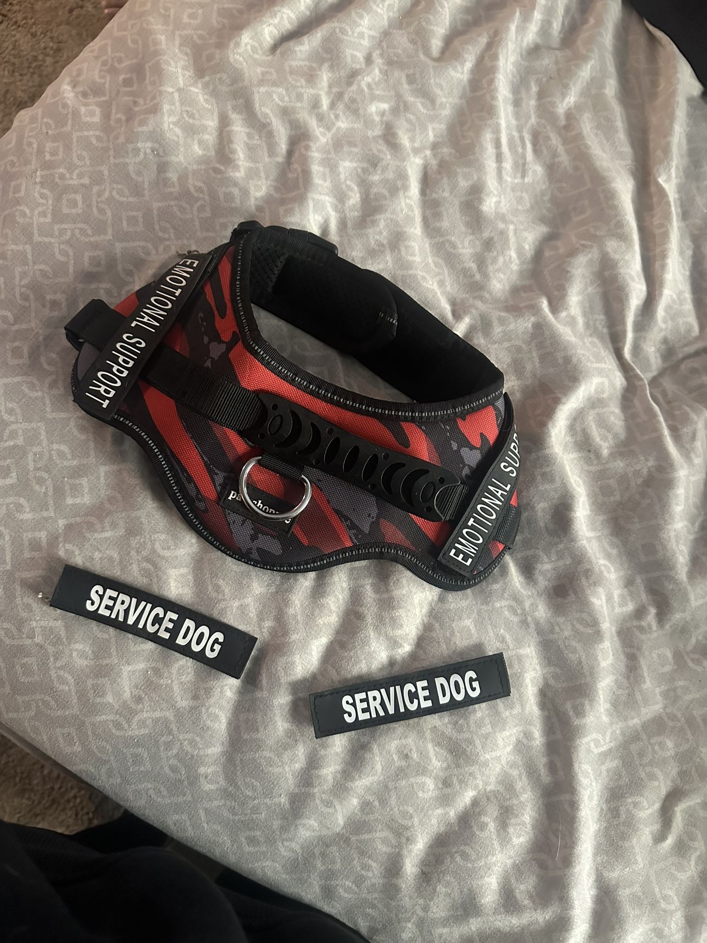 Dog Harness