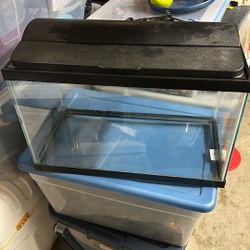 Fish Tank 10 Gallons