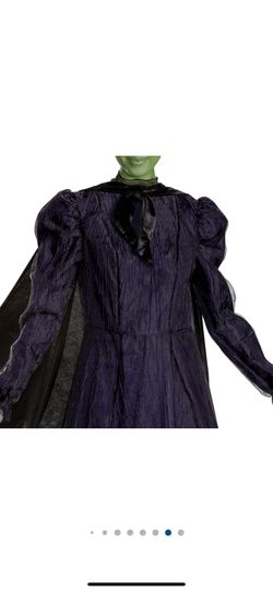 Wicked Witch Costume New