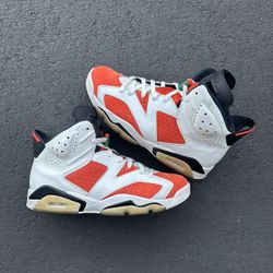 Jordan 6 Gatorade