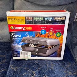 SentrySafe Fire-Resistant and Water-Resistant Box Safe