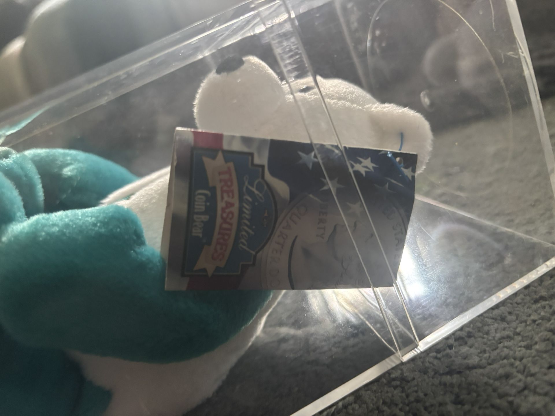 Collectible Bear