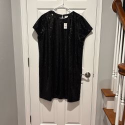 J Crew Sequin Dress Size 20 New With Tags