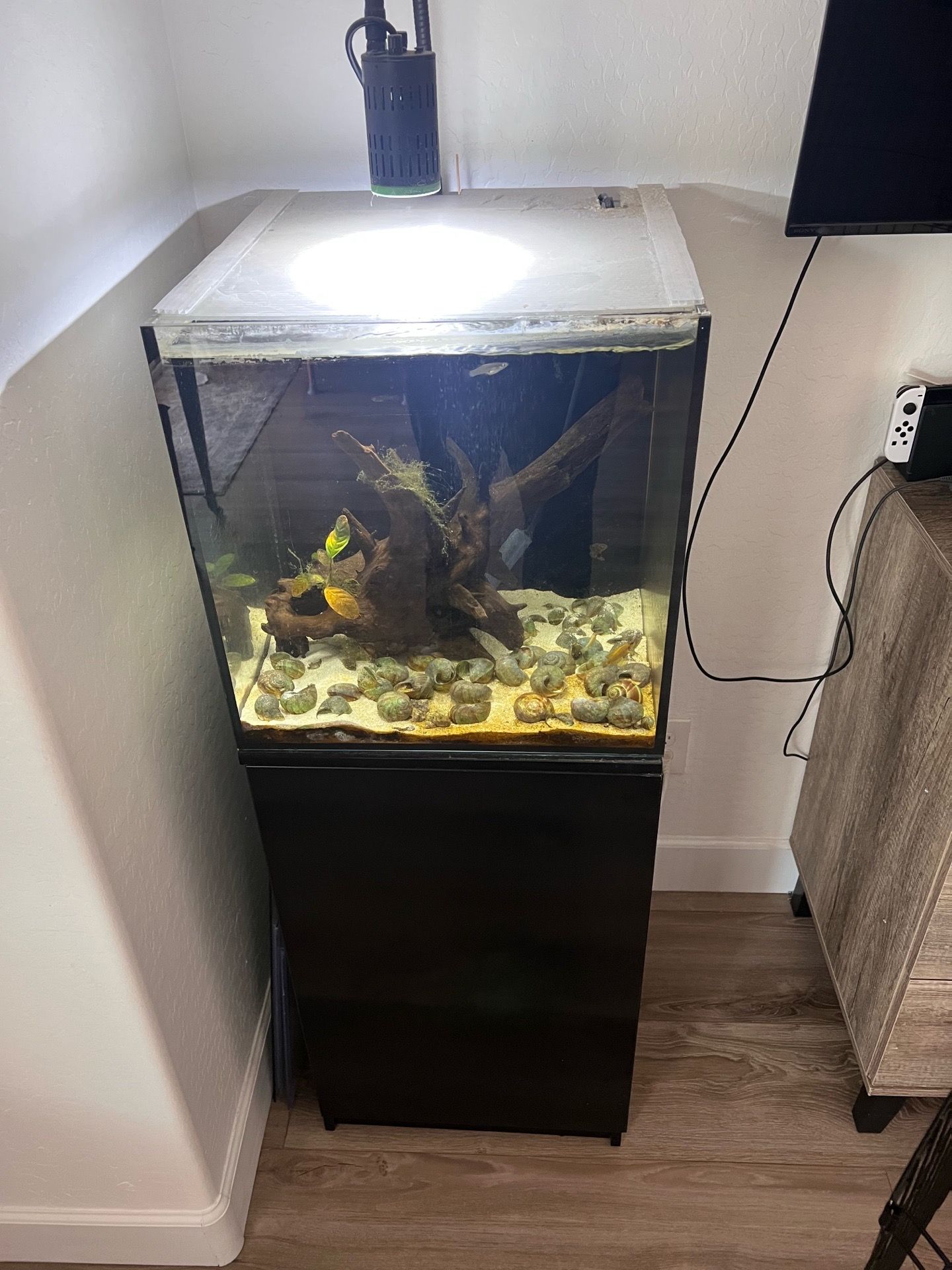 Cube fish tank 20 gal
