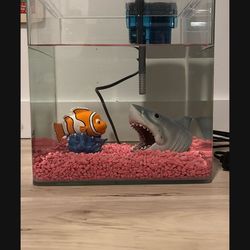 Fish tank + Filter + Ornaments + Food