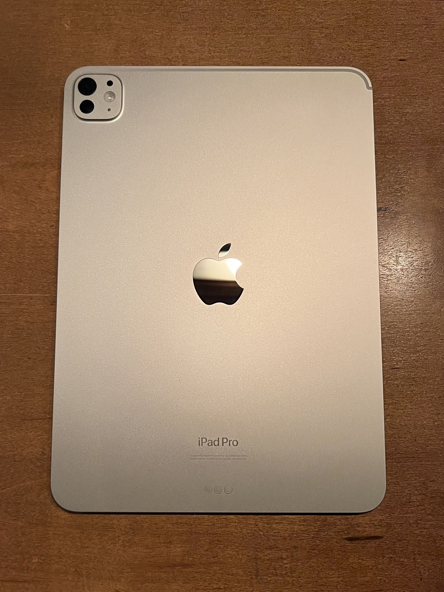 iPad Pro 2024 11inch Silver model with 512 GBs