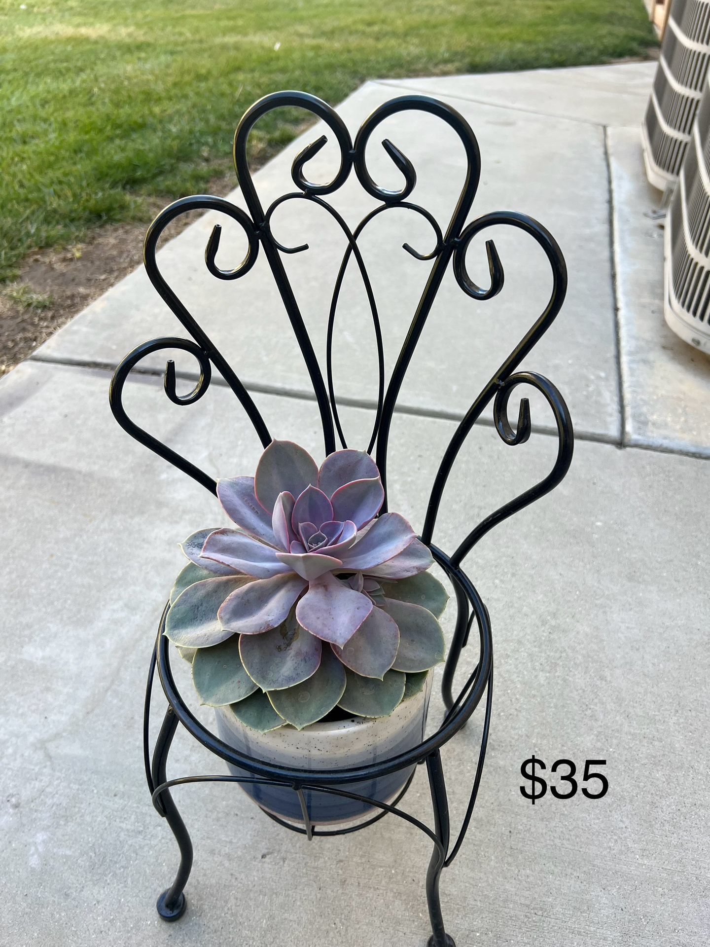 Metal Planter With Succulent 