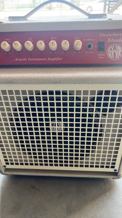 Strawberry blond  acoustic  intrument amp
