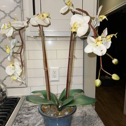 Ceramic Pot Faux Orchid
