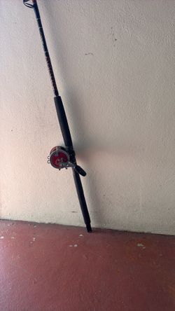 trolling combo / penn senator 113h