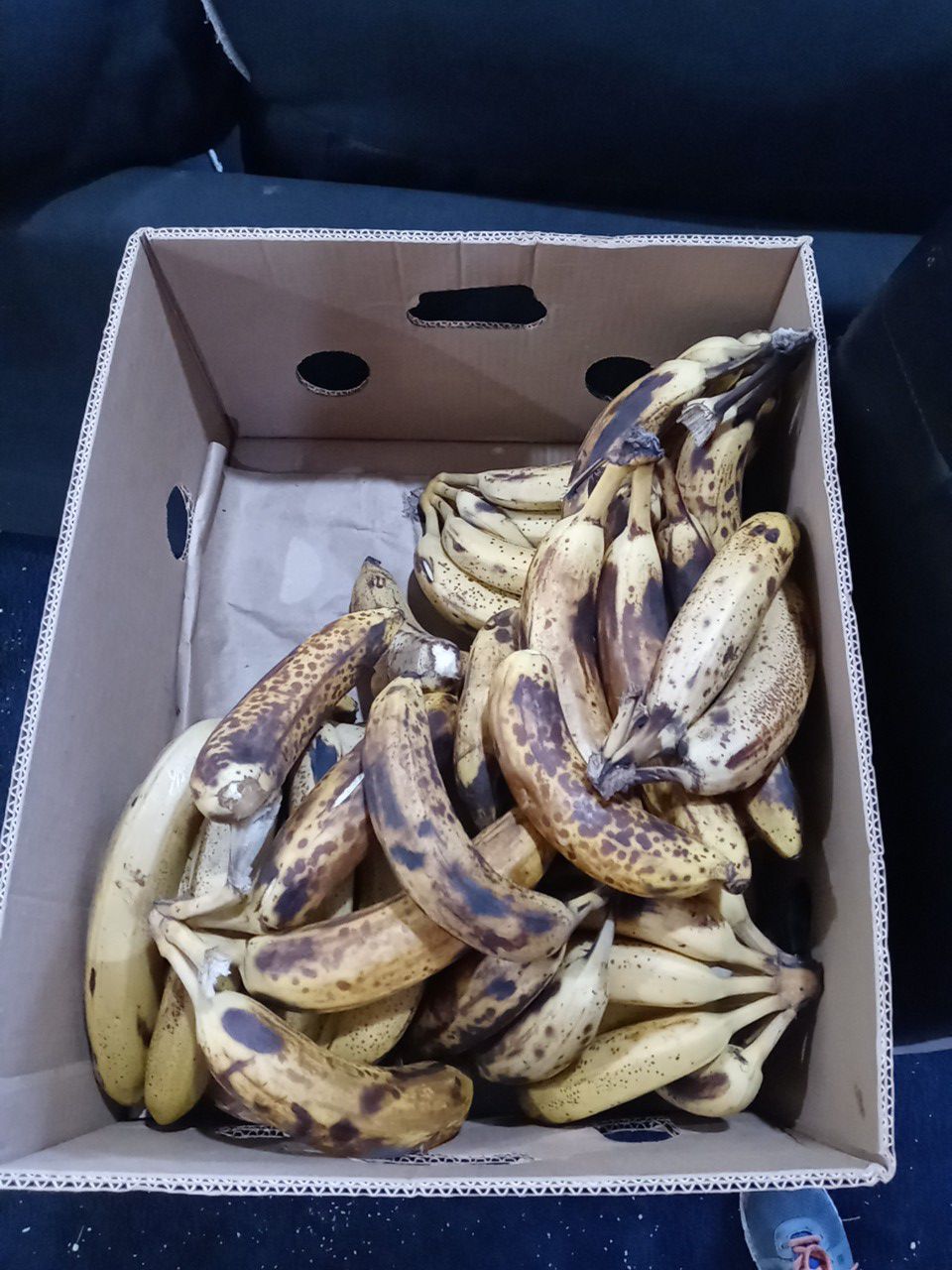Free Bananas