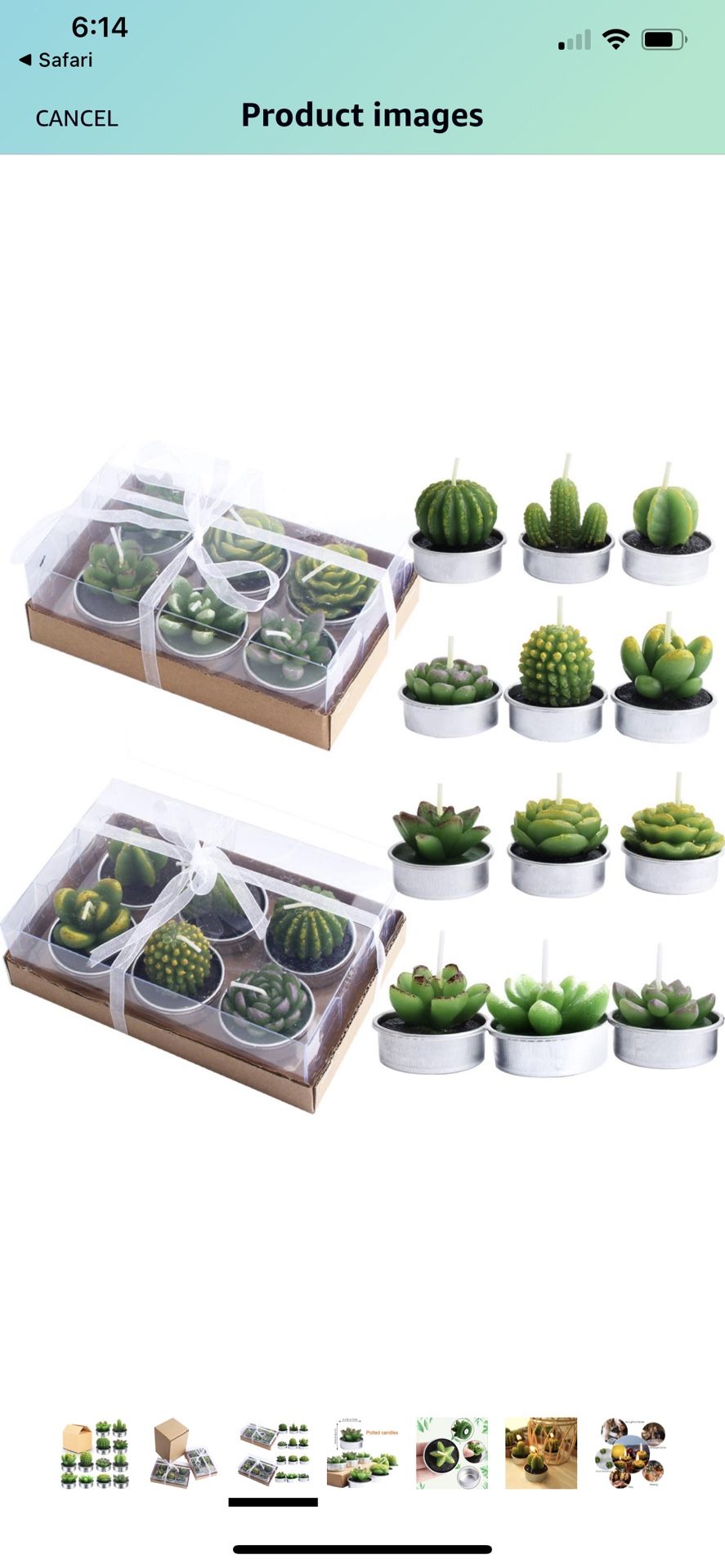 12 Pcs Cactus Tealight Candles Handmade Delicate Succulent Cactus Candles Flameless Aromatherapy 12 Designs for Birthday Party Wedding Spa