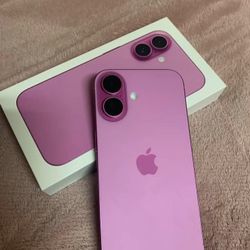 Pink iphone 16
