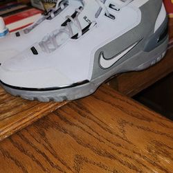 Nike LeBron James Shoes Size 12