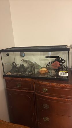 Reptile Tanks