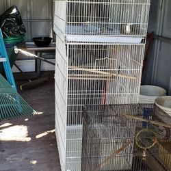 Bird Cages