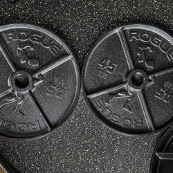 Rogue Fitness Arnold Schwarzenegger 45 LBs Weightlifting Plates - Garage Gym Hunter Certified 🎖️