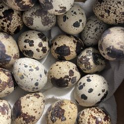 Quail Eggs