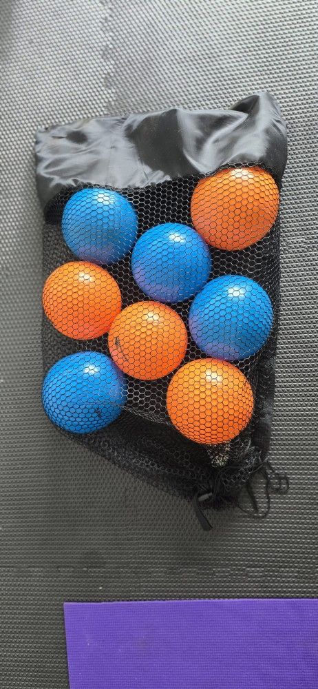 Silver Sneakers Excercise Balls with Mesh Bag and Pump