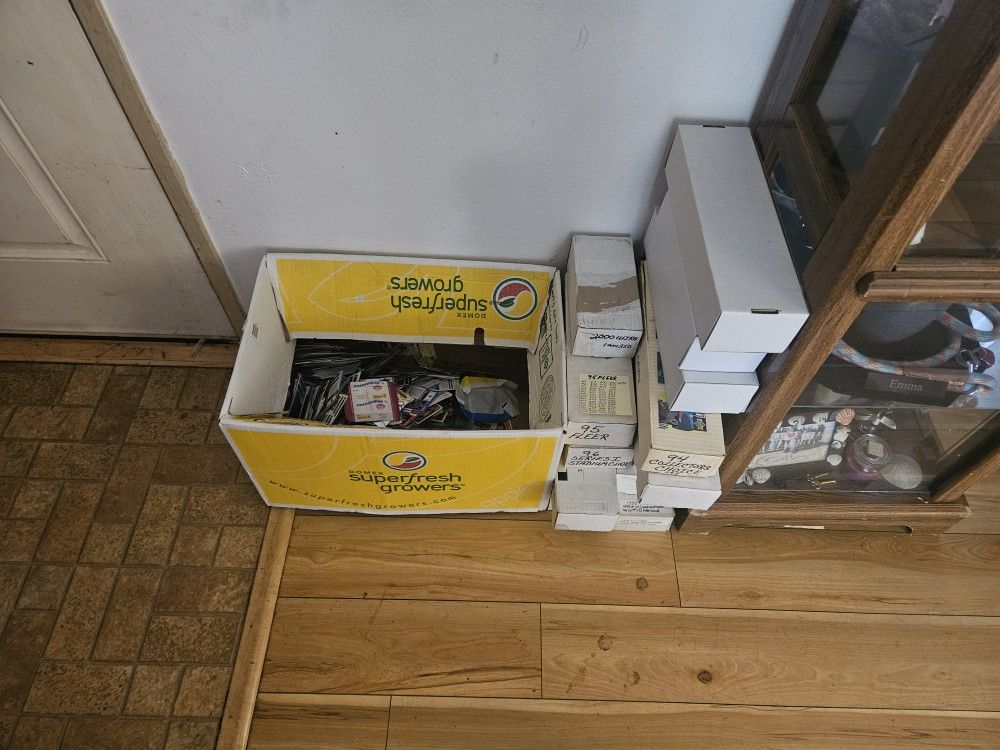 Sports Cards Collection Tons Of New Stuff