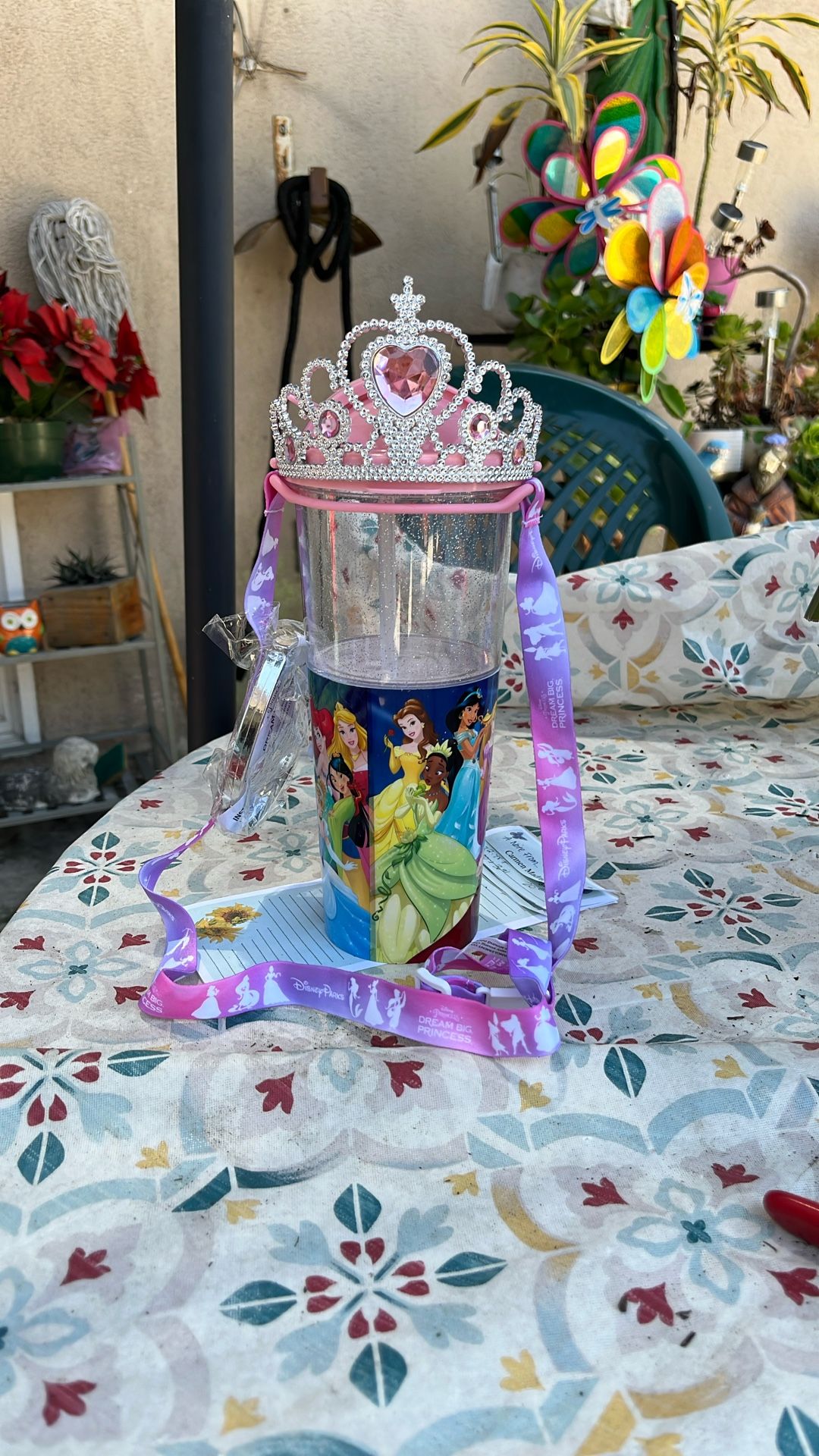 Disney’s Dream Big Princess Bubble Tumbler