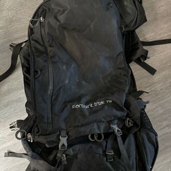 Osprey Backpacking Travel Bag