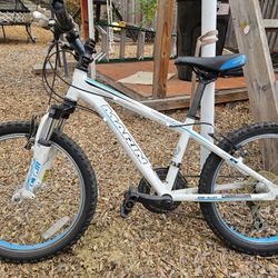 Kids 20 in Marin Mtb