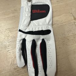Wilson Men's Size Large Regular Right Hand Golf Glove