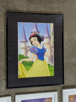 Disney Princess Pictures