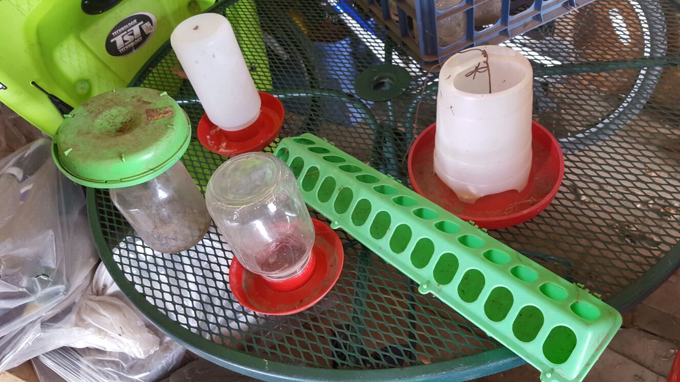 Poultry feeders and waters